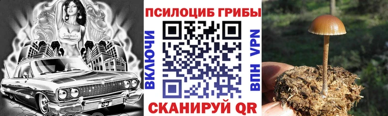 Галлюциногенные грибы мицелий  закладка  Полярные Зори 